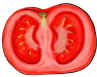 Tomate 1.JPG (21046 Byte)